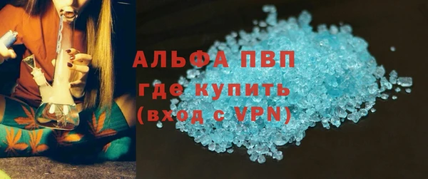 ПСИЛОЦИБИНОВЫЕ ГРИБЫ Осинники