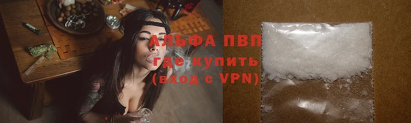 ПСИЛОЦИБИНОВЫЕ ГРИБЫ Осинники
