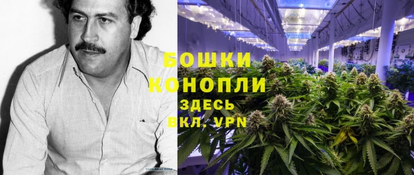 ПСИЛОЦИБИНОВЫЕ ГРИБЫ Осинники