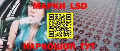 гидра Кингисепп