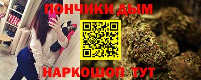 гидра Кингисепп