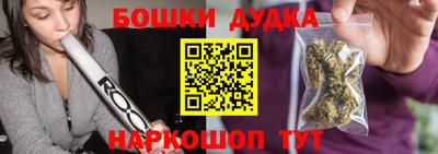 гидра Кингисепп