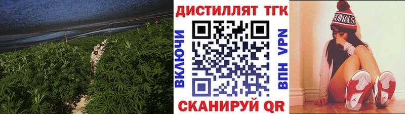 наркота  Хасавюрт  ТГК концентрат 