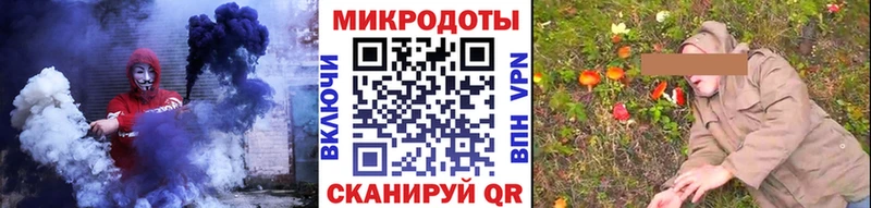Галлюциногенные грибы GOLDEN TEACHER  закладки  Хасавюрт 