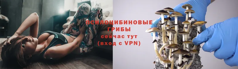 Псилоцибиновые грибы мухоморы Хасавюрт