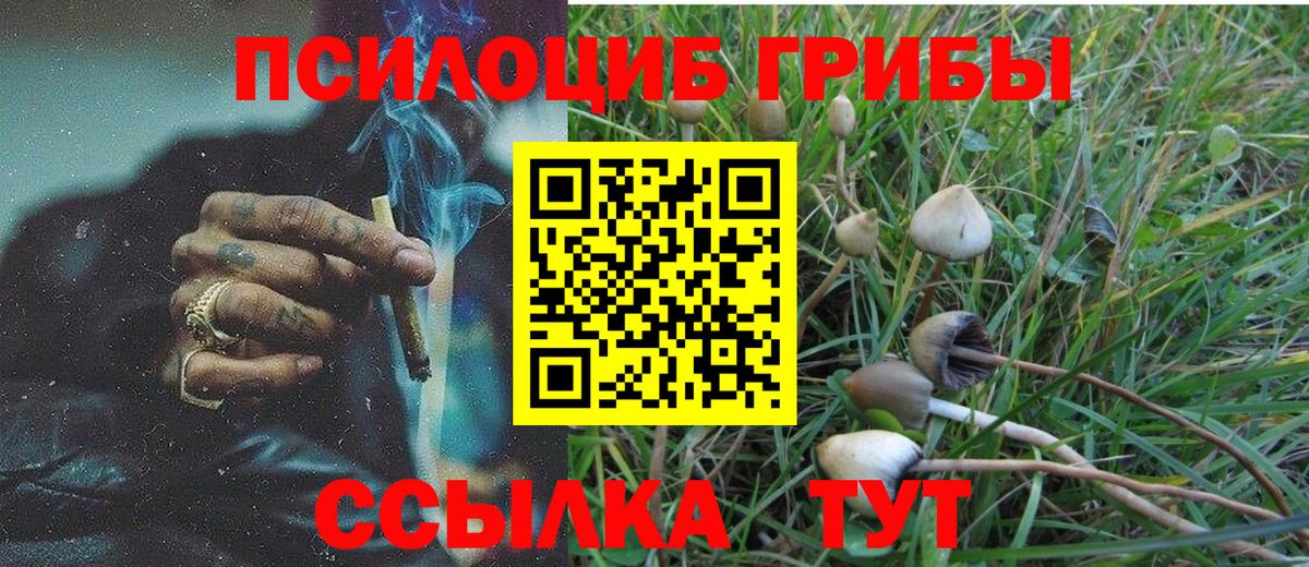 Хасавюрт  Псилоцибиновые грибы MAGIC MUSHROOMS  Вход с VPN 