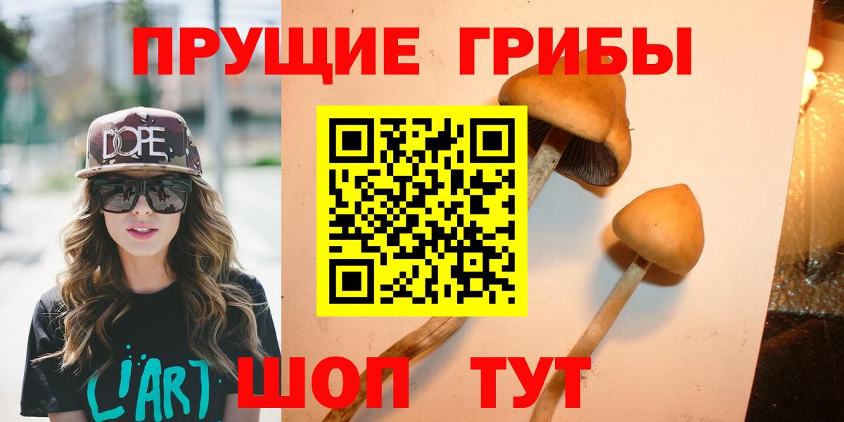 Псилоцибиновые грибы Cubensis Хасавюрт