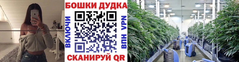 Канабис тримм  Хасавюрт 